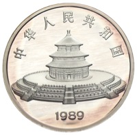 China Panda 50 Yuan 5 Unzen Silber 1989