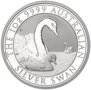 Australien Silver Swan Silberunze Schwan 2019