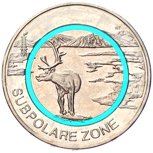 5 Euro 2020 Subpolare Zone Polymerring